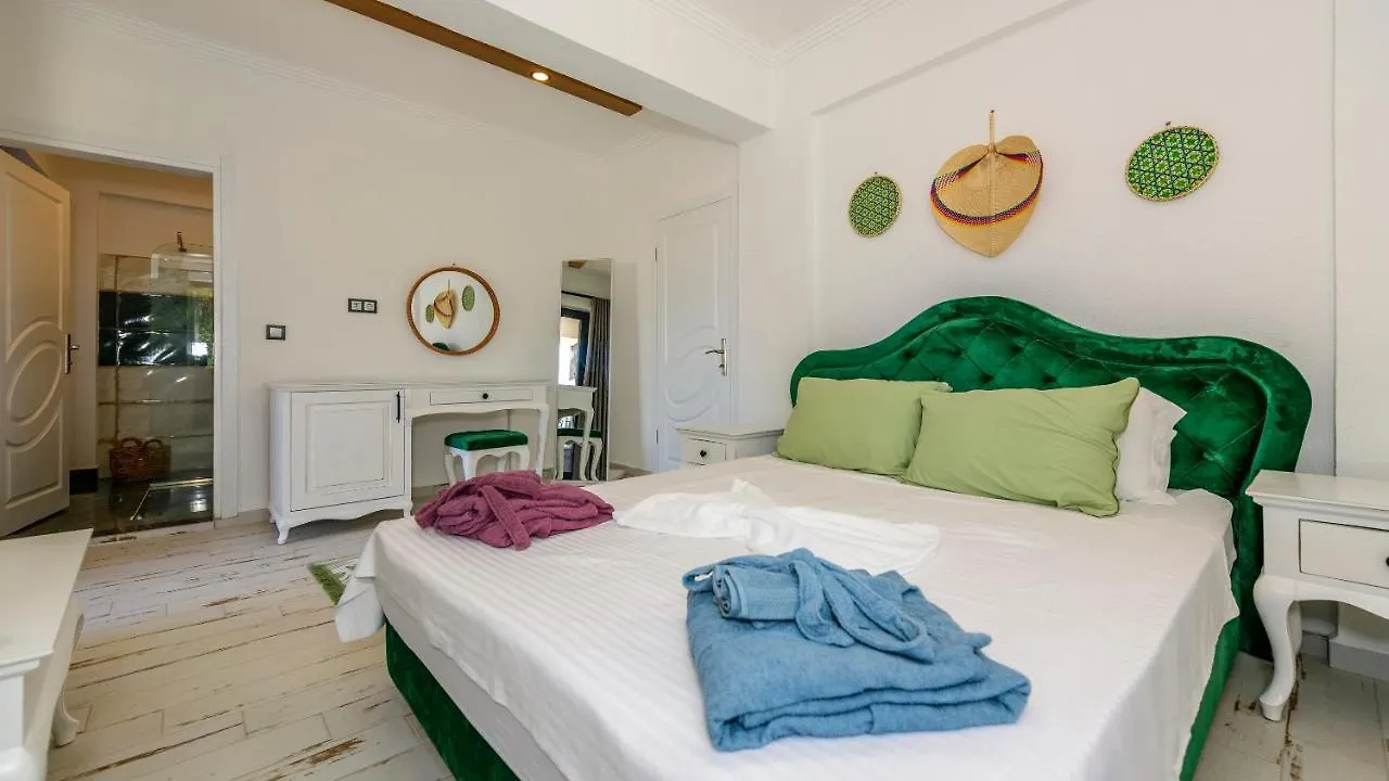 Oeluedeniz'De Oezel Havuzlu 5 Bedroom Lueks Villa Albera Fethiye Turkije